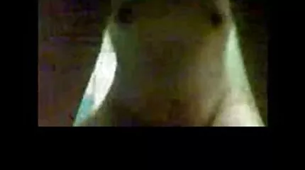 Zelfgemaakte casting compilatie waar elke teef geile sexfilms gratis sucks en jerks off een groot lul