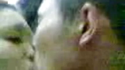 RanAn Conner gaf zich over aan overzeese kolen, gratis sexfilmen geven een anaal